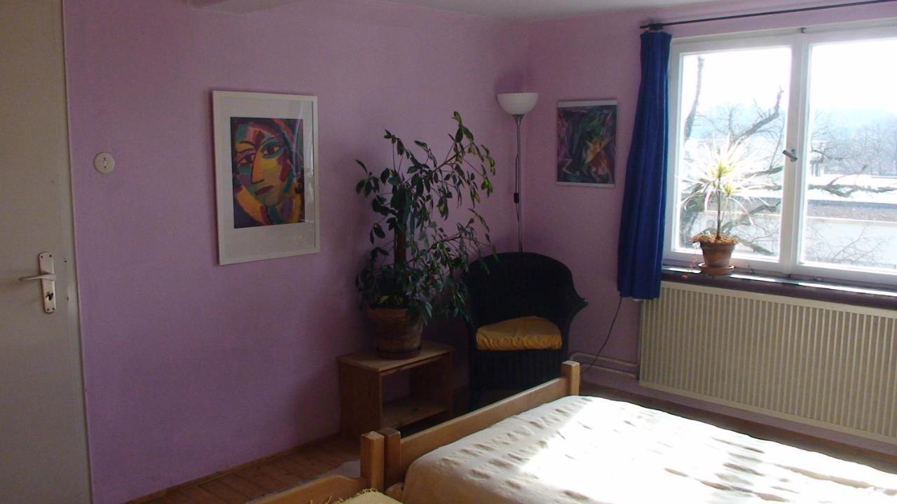 Haus Wunderlich Daire Sigmaringen Dış mekan fotoğraf